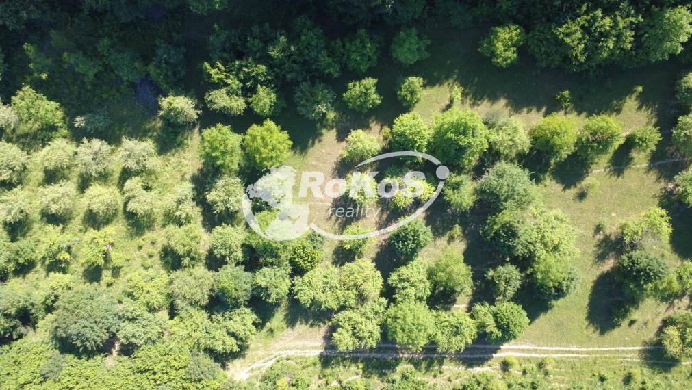 PREDAJ - Ovocný sad na Strelnici, Rožňava