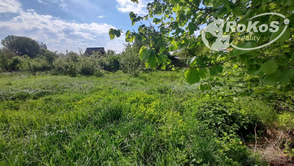Predaj pozemku so starým domom v obci Budkovce okres MICHALOVCE