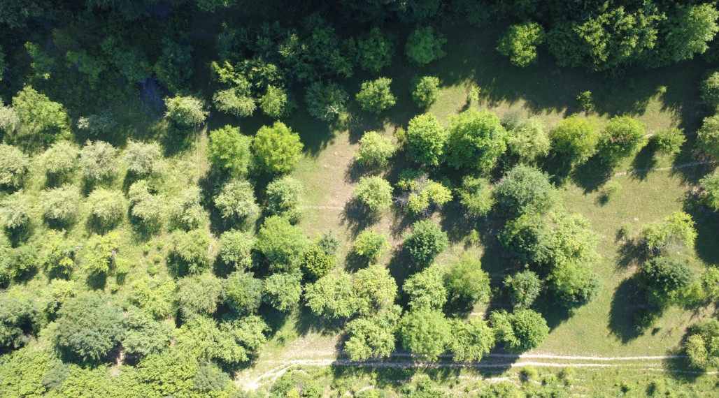 PREDAJ - Ovocný sad na Strelnici, Rožňava