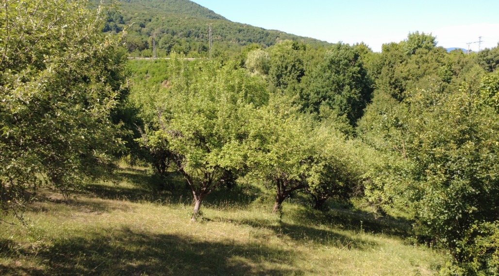 PREDAJ - Ovocný sad na Strelnici, Rožňava