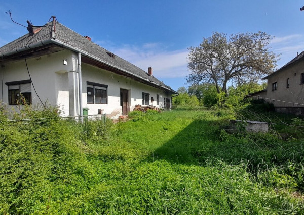Predaj pozemku so starým domom v obci Budkovce okres MICHALOVCE