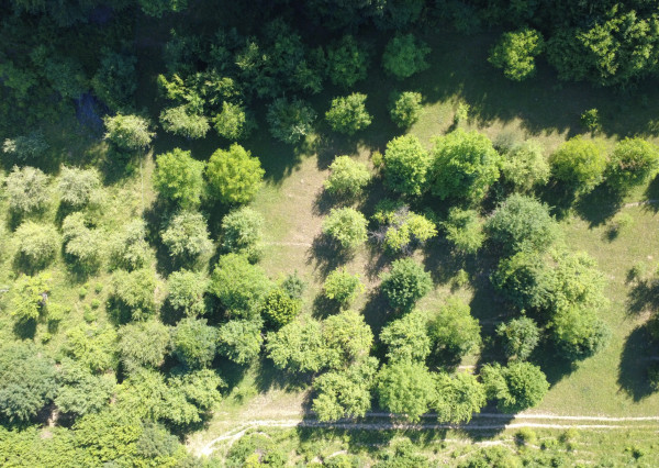 PREDAJ - Ovocný sad na Strelnici, Rožňava