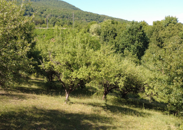 PREDAJ - Ovocný sad na Strelnici, Rožňava