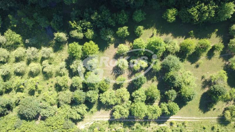 DJI_0698.JPG